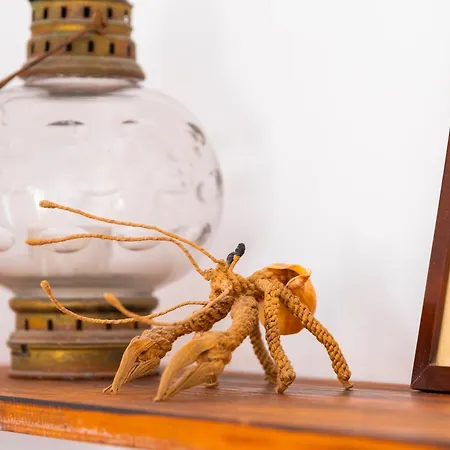 Traditional Canary House Vakantiehuis